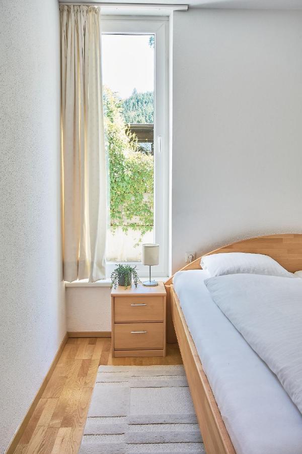Mountain View Ski Apartment ראוריס מראה חיצוני תמונה